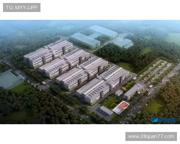 瑞博国际平台：探索全球投资新机遇与优势